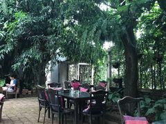 -Fern Forest Cafe