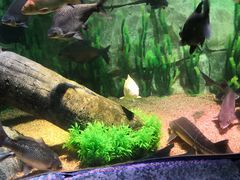 -沈阳海洋探索中心