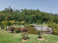 -深圳仙湖植物园