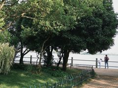 -无锡蠡湖国家湿地公园-蠡园