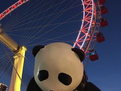 -天津之眼摩天轮