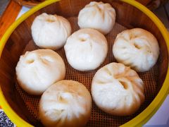 -费明中罗非鱼(大石坝店)