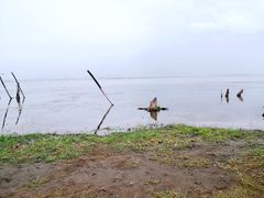 -大理洱海