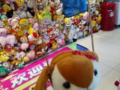-LLJ夹机占(正佳广场店)
