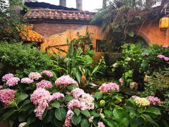 -园林美食城·本土农家菜(杨和镇店)