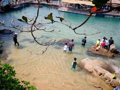 -海南分界洲岛旅游区