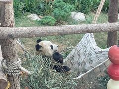 -大连森林动物园