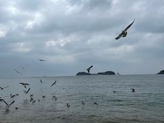 -傅家庄公园