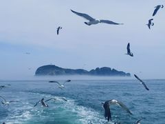 -海驴岛(荣成市)