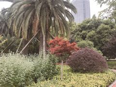 -北外滩滨江绿地