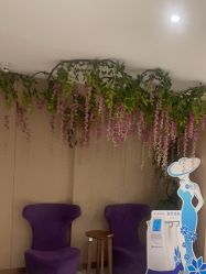 -厦门美莱整形美容医院