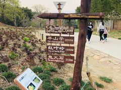 -鬼笑石后山停车场