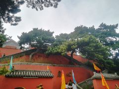 -妙峰山风景名胜区