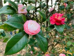 -华南国家植物园-售票处