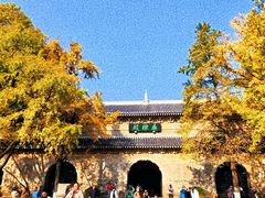 -灵谷景区