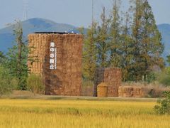 -良渚古城遗址公园