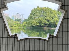 -晓港公园
