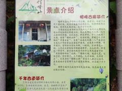 -广州市帽峰山景区