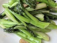 清炒广东菜心-顺味凤城·顺德菜专门店(九六广场店)