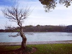 -上海月湖雕塑公园
