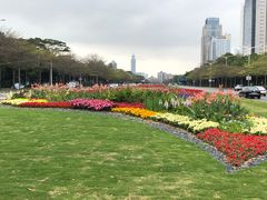 -深圳市人才园(深南大道店)