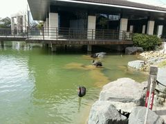 android_upload_pic-上海怡沁园度假酒店