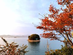 -千岛湖君澜度假酒店(文广轩中餐厅)