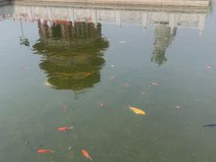 -大悲禅寺