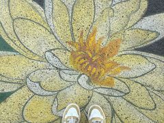 -云溪植物园