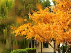 -上海交通大学(闵行校区)