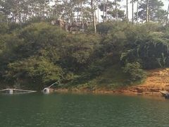 -广州市流溪河国家森林公园