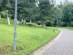 -莫子山公园