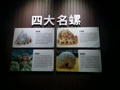 -贝壳王国博物馆
