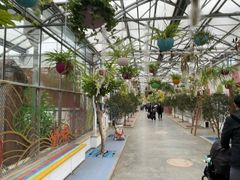 -南宫五洲植物乐园