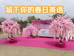 -盈香心动乐园