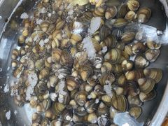 海鲜火锅-凯华海鲜火锅·传承三十六年