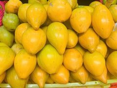 -三亚新鸿港水果一级批发市场