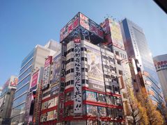 -秋叶原电器街