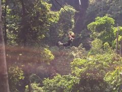 -清迈丛林飞跃 JungleFlight