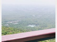 -紫金山山顶公园
