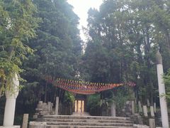 -彩色沙林风景区