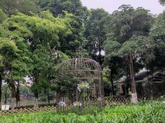 -海珠湖公园