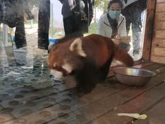 -武汉紫薇都市田园