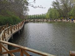 -云岗森林公园