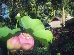 -四季酒店下午茶