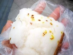 -华西坝(地铁站)