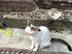 -西溪南古村落