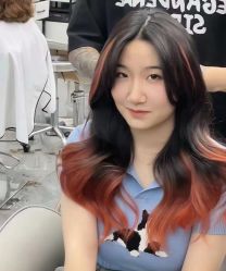 -藤野造型