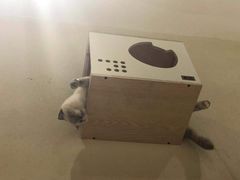 -藏猫猫咖啡主题馆(中央大道店)