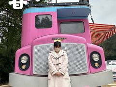 -铁山坪森林公园